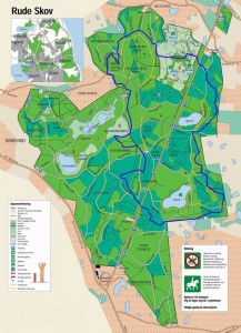 Blå rute i Rude Skov